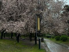 -清凉寺
