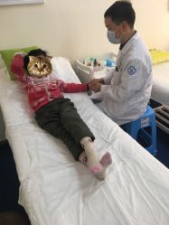 -神拿世家小儿推拿(立水桥店)