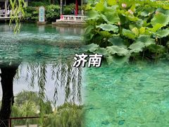 -趵突泉景区