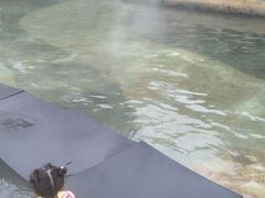 -深业半汤御泉庄温泉