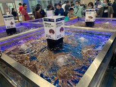 -盒马X会员店(上海森兰商都店)