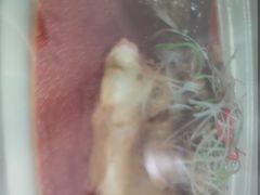 -写庭·鱼鲜川菜·宴请(铁像寺水街店)