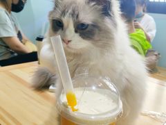 -傣妹火锅(罗宾森购物中心店)