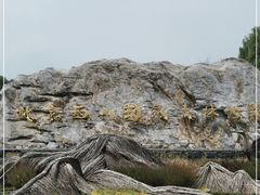 -北京西山国家森林公园