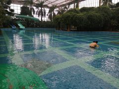 -龙达温泉生态城