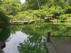 -汇龙潭