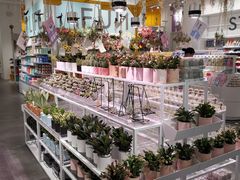 -KKV(深圳宏发大仟里店)