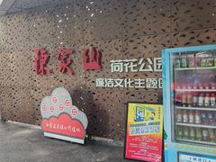-陈家山荷花公园