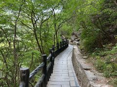 -云台山风景名胜区