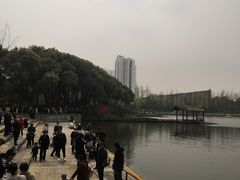 -圩墩遗址公园