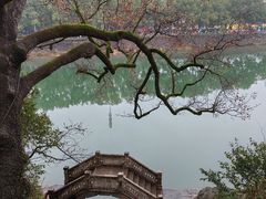 -溪口-滕头旅游景区