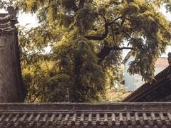 -湘子庙