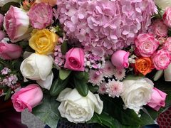 -零·壹新疆羊肉抓饭