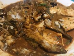 -船歌·鱼水饺青岛菜(合肥路永旺店)