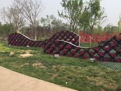 -武清南湖绿博园