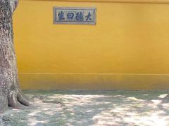 -西园戒幢律寺