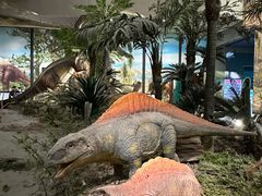 -湖南省地质博物馆