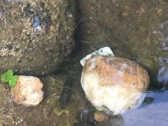 -广州白江湖森林公园