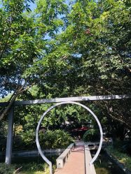 -莲生母婴月子中心(清水河公园店)