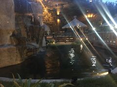 -清迈夜间动物园