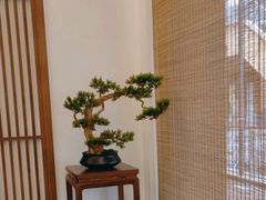-静雅推拿(鹭洲里店)