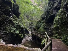 -牛背梁国家森林公园