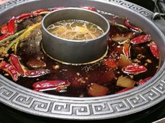-杨肥肠火锅大排档(火车站花园店)