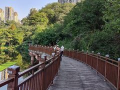 -重庆彩云湖湿地公园