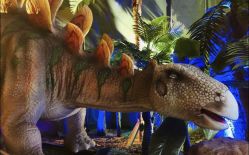 -恐龙探索乐园(磁器口店)