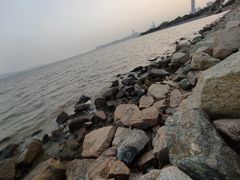 -深圳湾公园(南山区)