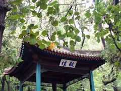 -香山公园
