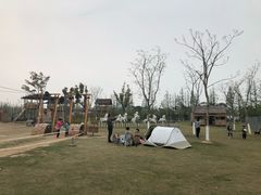 -上海长兴岛郊野公园