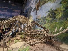 -自贡恐龙博物馆