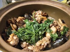 -食爺炭炉鸡煲·烧烤