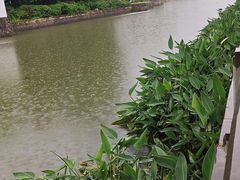 -儒之堂足道·SPA·推拿(莫干山路店)