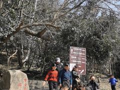 -紫金山山顶公园
