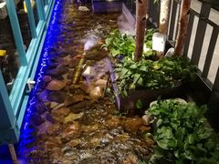 -丰茂烤串(公园店)
