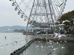 -蠡湖大桥公园