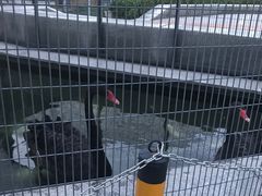 -北京园博大酒店