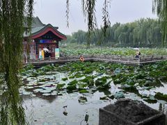 -济南大明湖景区