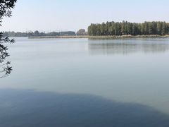 -东湖落雁景区