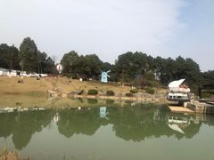 -铁山坪森林公园