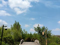 -梁鸿国家湿地公园