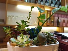 -浦·传统日式料理(3 5 1 1 店)