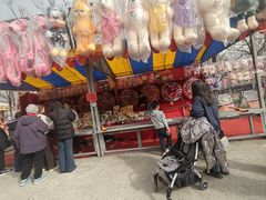 -北京凤凰岭