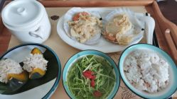 -爱丽宝月子中心