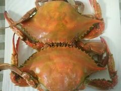 -烁佳海鲜大馅饺子