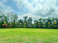 -海南热带野生动植物园