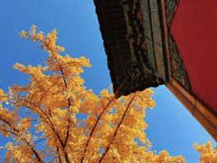 -故宫博物院(故宫)