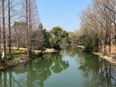 -昆山城市生态森林公园